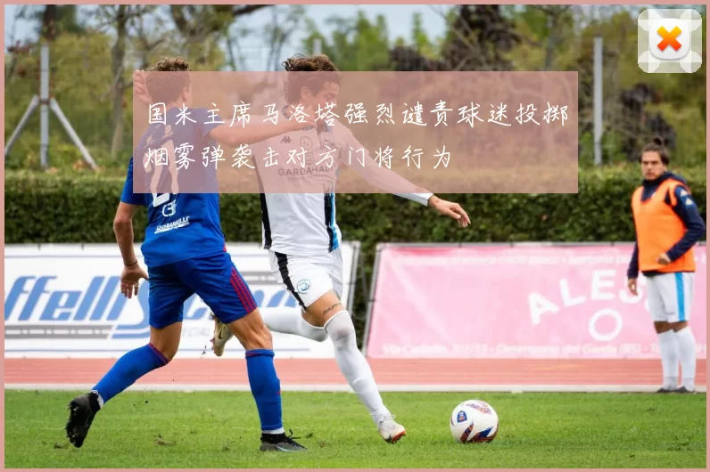 国米主席马洛塔强烈谴责球迷投掷烟雾弹袭击对方门将行为